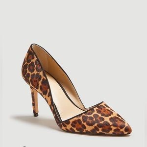 Ann Taylor Azra Haircalf Pump